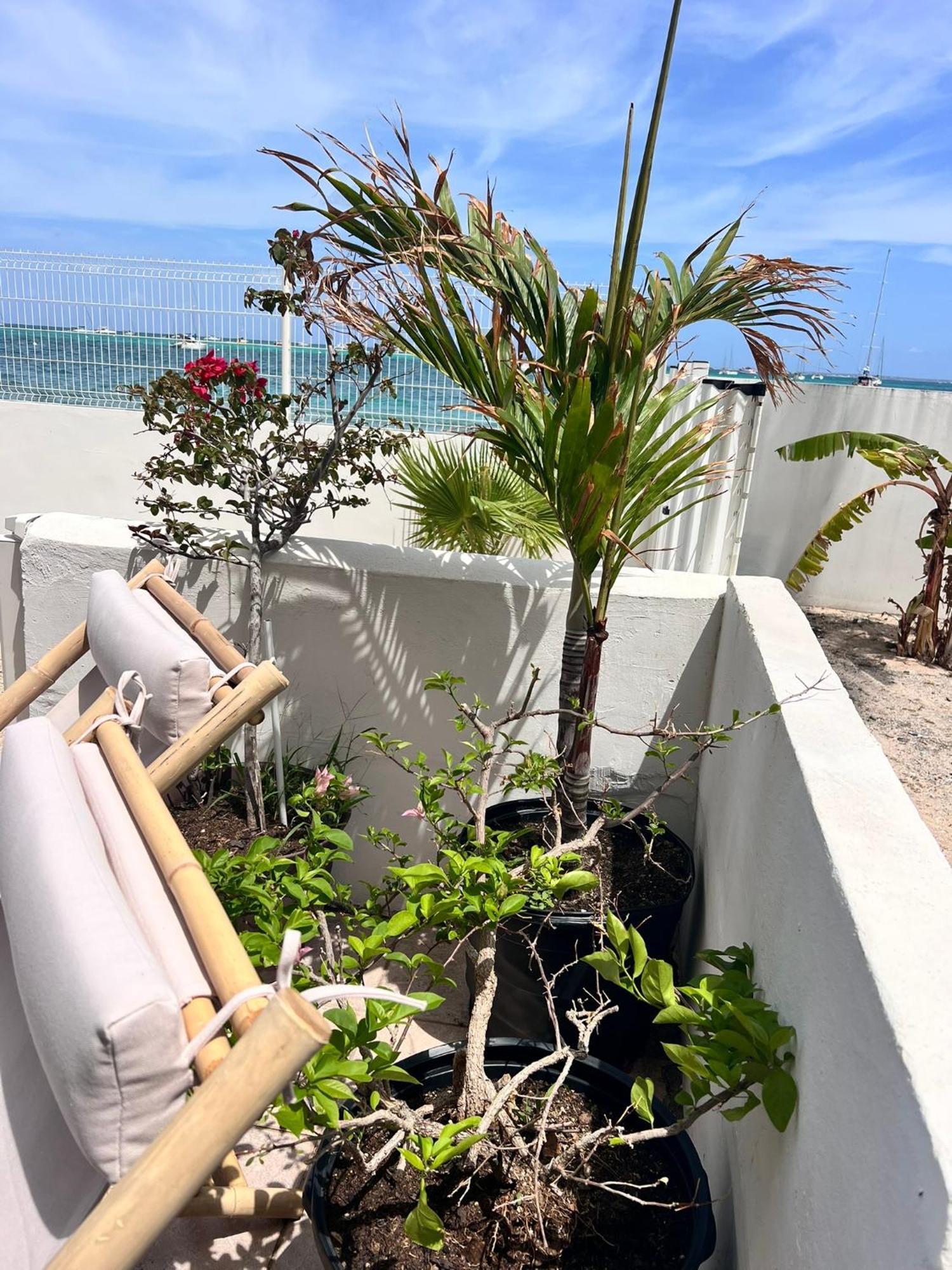 Studio Pirate Of The Caribbean 2 Sea View Marigot  Extérieur photo